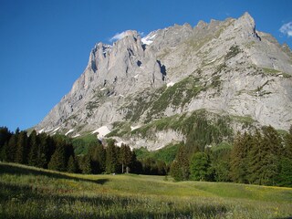 Wetterhorn bei Grindelwald