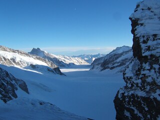 Im Jungfraugebiet