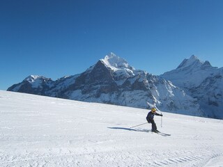 Skifahren im Winter, ca. 30 Min. von uns