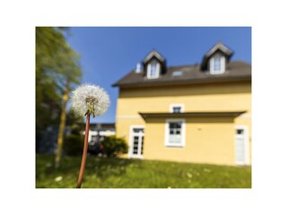 Vakantieappartement Borkum Buitenaudio-opname 3