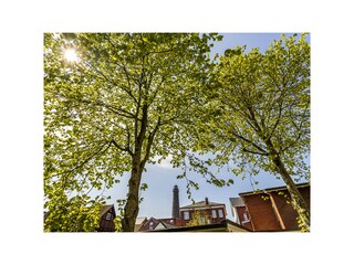 Vakantieappartement Borkum Buitenaudio-opname 5