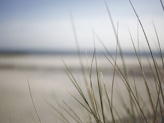 Vakantieappartement Borkum Omgeving 17