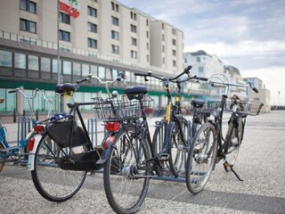 Vakantieappartement Borkum Omgeving 18