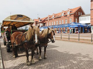 Appartement de vacances Borkum Environnement 23