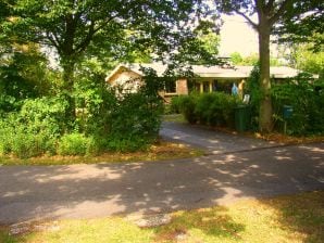 Vakantiehuis Bungalow Seeduinen - Oostkapel - image1