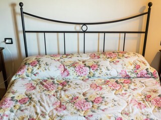 Casa de campo Camino Características 24