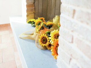 Type de propriété : Chalet Camino  35