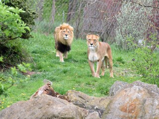 Appartamento per vacanze Erfurt Ambiente 16