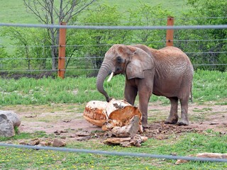 Appartamento per vacanze Erfurt Ambiente 17