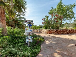 Finca Porreres Grabación al aire libre 8