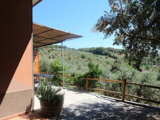 Casa de vacaciones Castagneto Carducci Grabación al aire libre 12