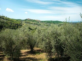 Casa de vacaciones Castagneto Carducci Grabación al aire libre 18