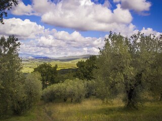 Vakantiehuis Castagneto Carducci Buitenaudio-opname 2