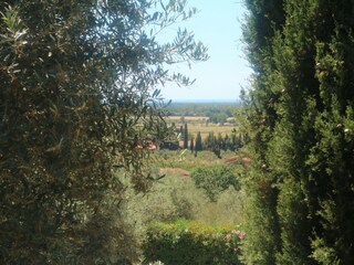 Casa de vacaciones Castagneto Carducci Grabación al aire libre 4