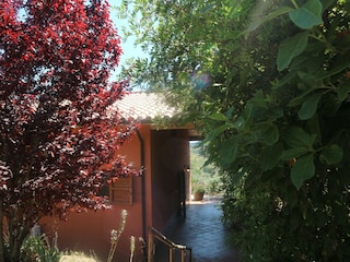 Ferienhaus Castagneto Carducci Außenaufnahme 7