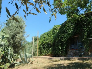 Casa de vacaciones Castagneto Carducci Grabación al aire libre 8