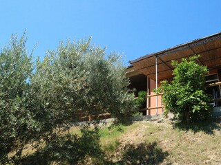 Casa de vacaciones Castagneto Carducci Grabación al aire libre 9