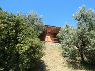 Casa de vacaciones Castagneto Carducci Grabación al aire libre 19