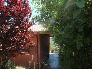 Casa de vacaciones Castagneto Carducci Grabación al aire libre 10