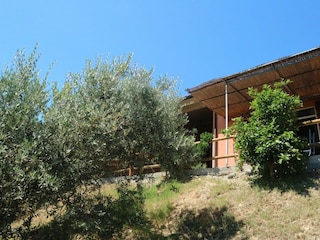 Ferienhaus Castagneto Carducci Außenaufnahme 4