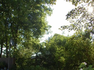 Ferienhaus Wyk auf Föhr  50