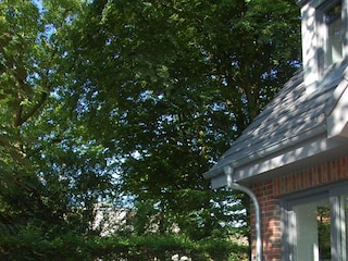 Ferienhaus Wyk auf Föhr  53