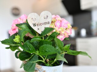 Holiday apartment Lindau am Bodensee Outdoor Recording 3