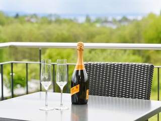 Holiday apartment Lindau am Bodensee Outdoor Recording 5