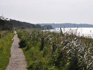 Casa per le vacanze Steinberg (Angeln) Ambiente 21