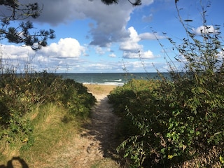 Auf dem Weg zum Strand