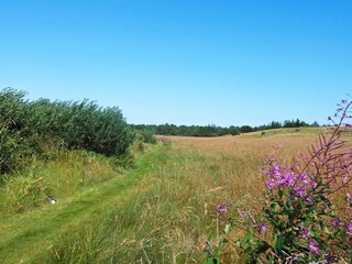 Maison de vacances Virksund  14