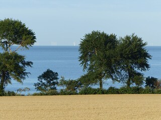 Blick auf Ostsee aus der Terassentür