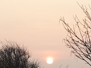 Blick von den Wohnungen auf die Weiden