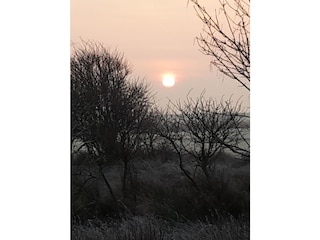 Blick von den Wohnungen     auf die Weiden