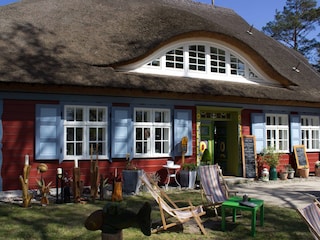 typisches Darsser Haus