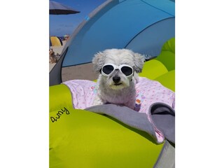 Casa per le vacanze Julianadorp Ambiente 26