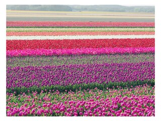 Casa per le vacanze Julianadorp Ambiente 27