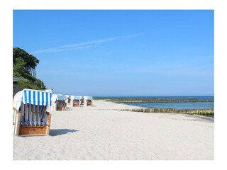 Badestrand von Nienhagen