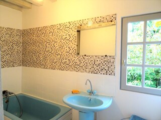 Casa per le vacanze Saint-Pierre-le-Vieux Caratteristiche 28