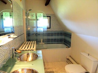 Casa per le vacanze Saint-Pierre-le-Vieux Caratteristiche 30