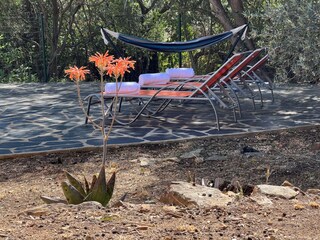 Casa per le vacanze Roses Registrazione all'aperto 5