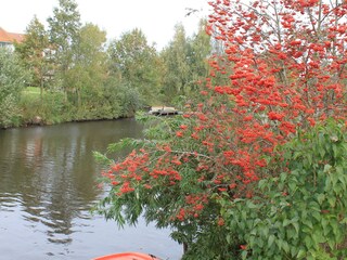 Herbst am Kanal, Blick vom Steg