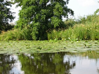 Bootsausflug ins Fehntjer Tief (Naturschutzgebiet)