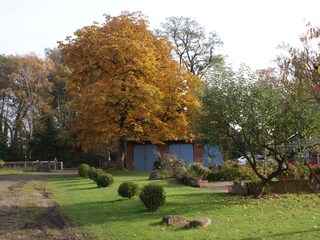 Unser Hofbaum