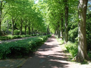 Eeuwigelaan zwischen Bergen und Bergen aan Zee