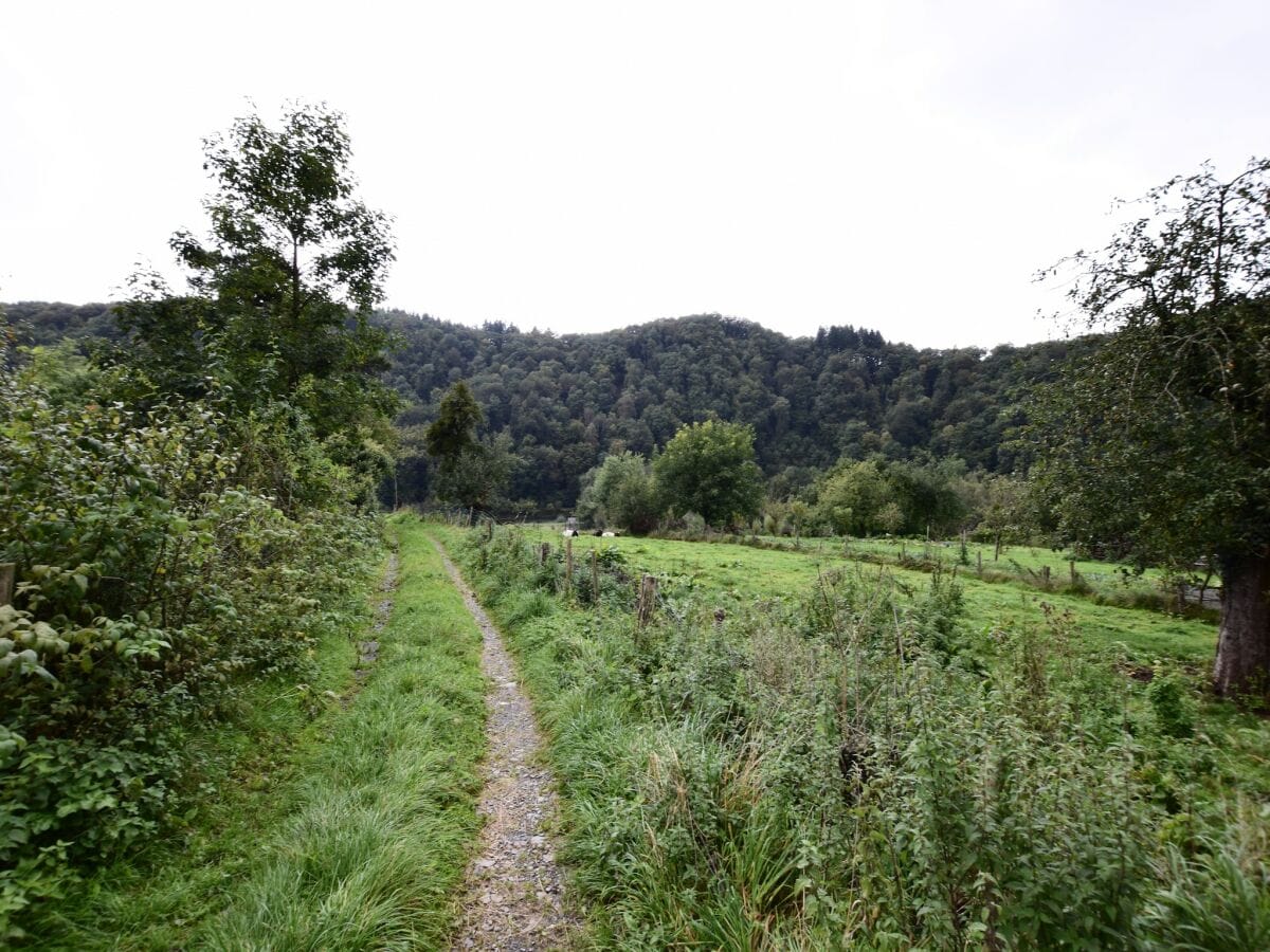 Ferienhaus Vresse-sur-Semois Außenaufnahme 6