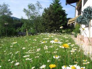 Appartement de vacances Krün Enregistrement extérieur 4