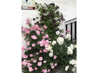 Apartamento de vacaciones Krün Grabación al aire libre 11