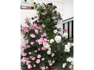 Appartement de vacances Krün Enregistrement extérieur 12