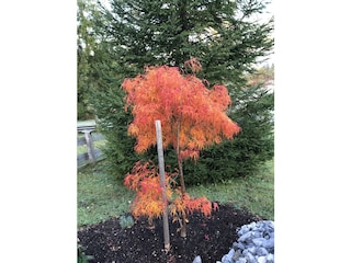 Apartamento de vacaciones Krün Grabación al aire libre 16